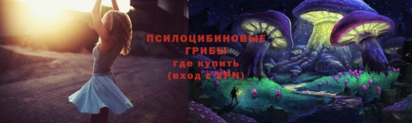 индика Зеленокумск