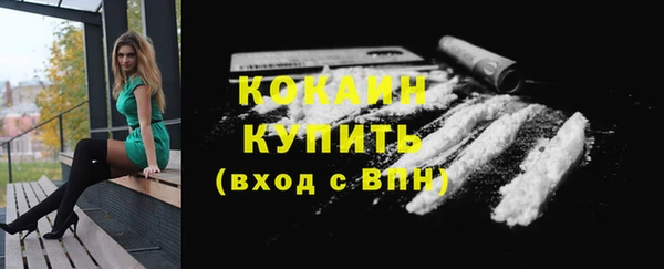 индика Зеленокумск