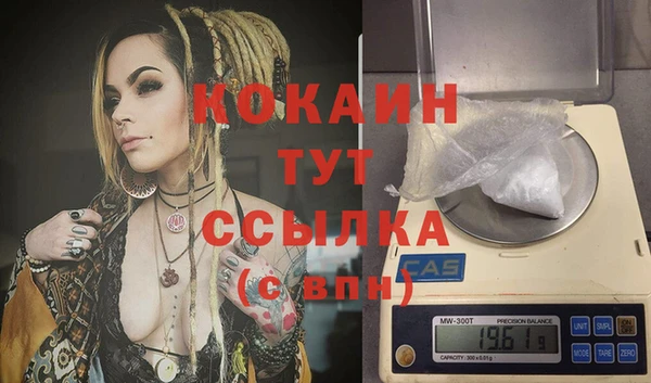 индика Зеленокумск