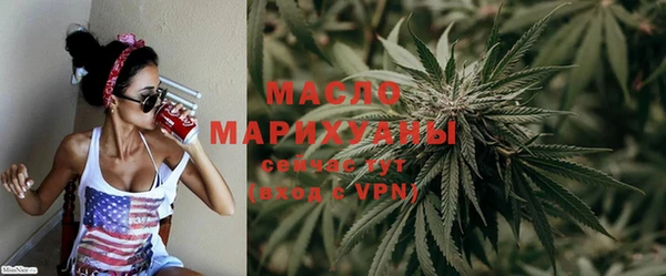 индика Зеленокумск